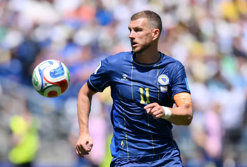 Bosnia vs USA World Cup knockout